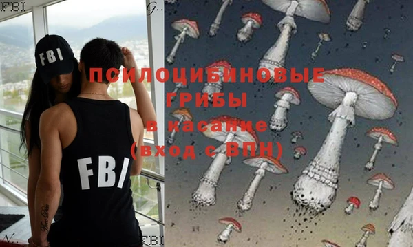 прущий лед Белокуриха