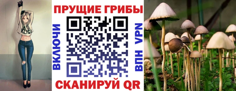 Галлюциногенные грибы прущие грибы  Купить  Острогожск 