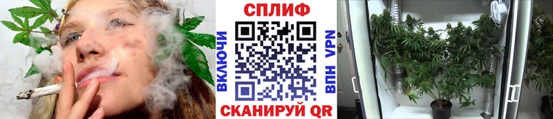 Купить  Острогожск  Марихуана MAZAR 